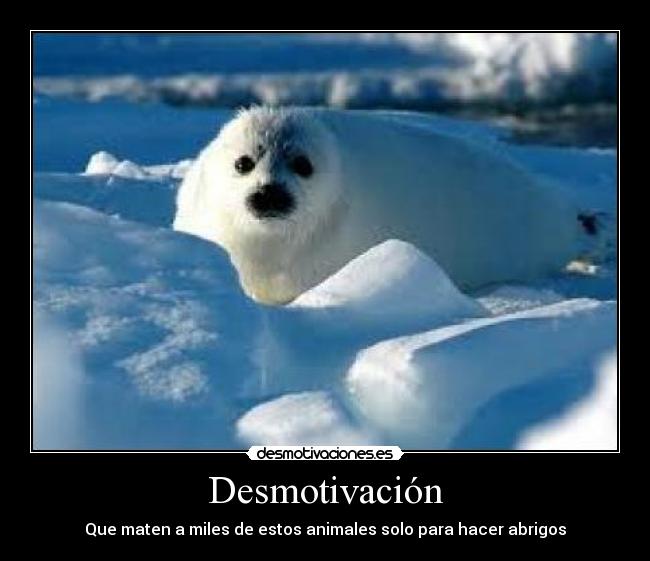 Desmotivación - Que maten a miles de estos animales solo para hacer abrigos