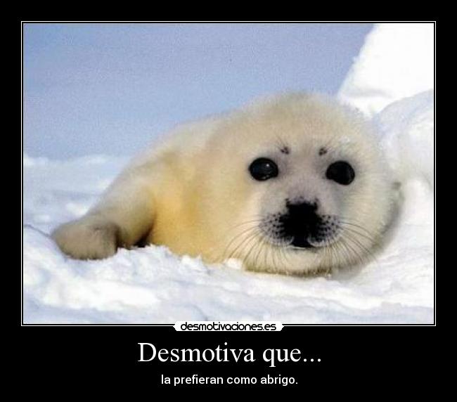 Desmotiva que... - la prefieran como abrigo.