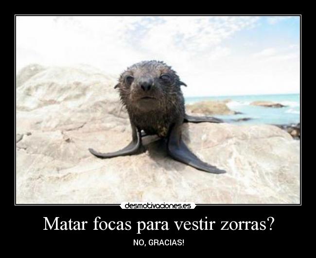 Matar focas para vestir zorras? - NO, GRACIAS!