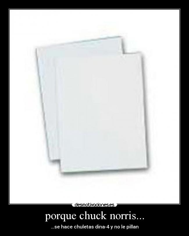 porque chuck norris... -