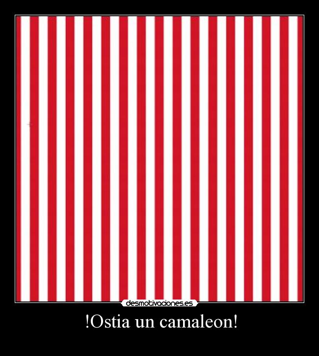 !Ostia un camaleon! -