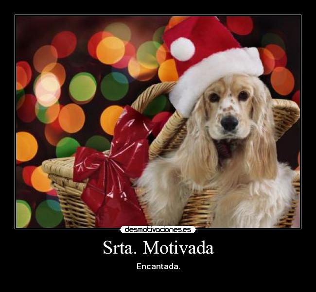Srta. Motivada - Encantada.