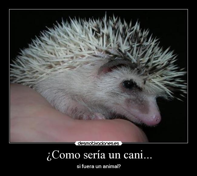 ¿Como sería un cani... - si fuera un animal?