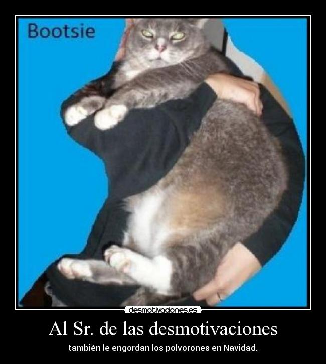 Al Sr. de las desmotivaciones - también le engordan los polvorones en Navidad.