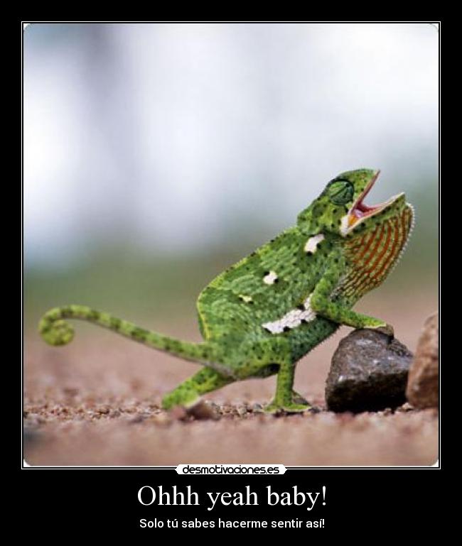 Ohhh yeah baby! - 