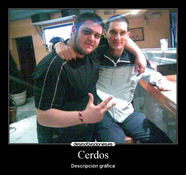 Cerdos -