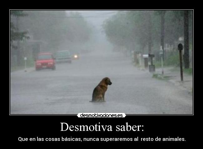 Desmotiva saber: -