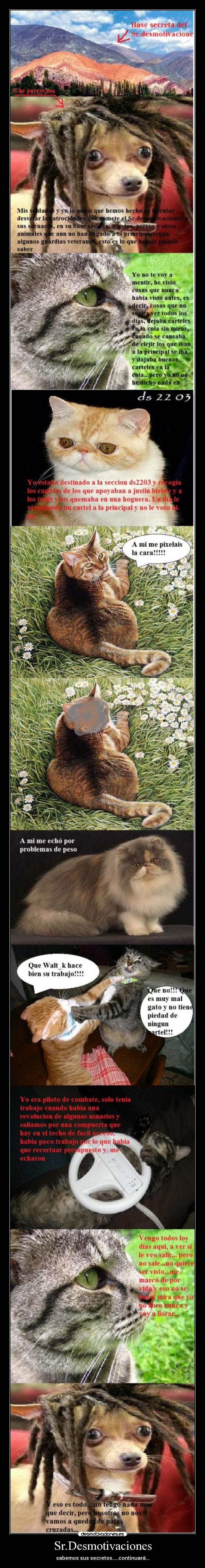 Sr.Desmotivaciones - sabemos sus secretos.....continuará...
