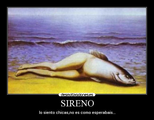 carteles sireno desmotivaciones