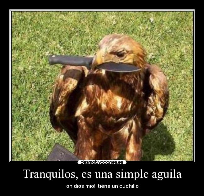 Tranquilos, es una simple aguila -