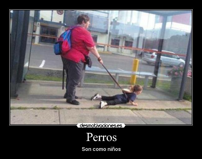 Perros - 