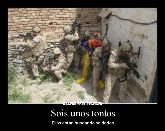 Sois unos tontos - 