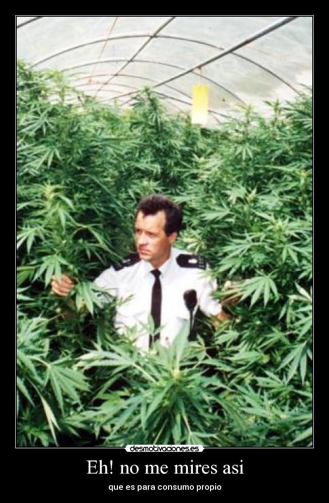 Eh! no me mires asi -
