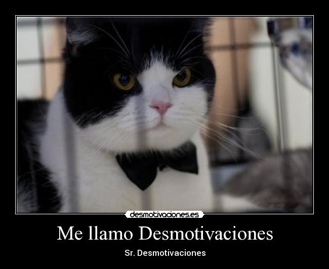 Me llamo Desmotivaciones -