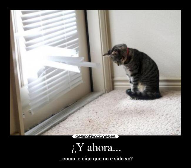¿Y ahora... -