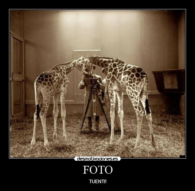 FOTO - TUENTI!