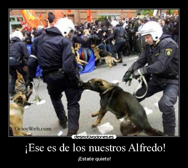 ¡Ese es de los nuestros Alfredo! -