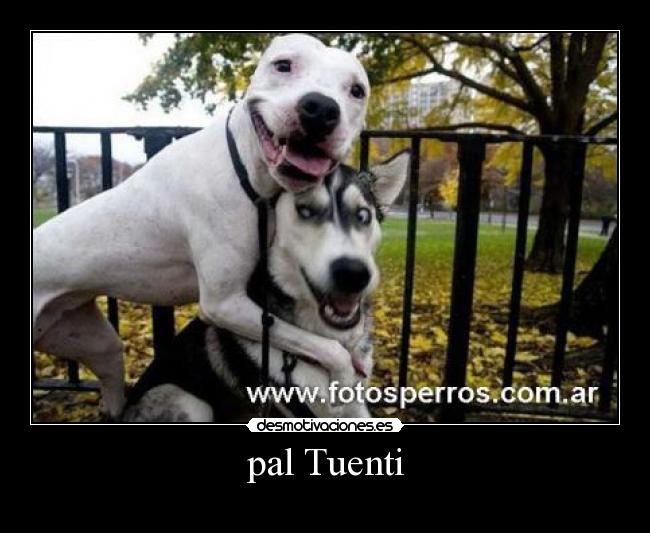 pal Tuenti -