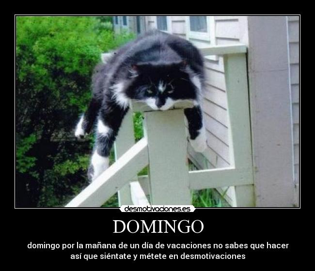 carteles domingo desmotivaciones