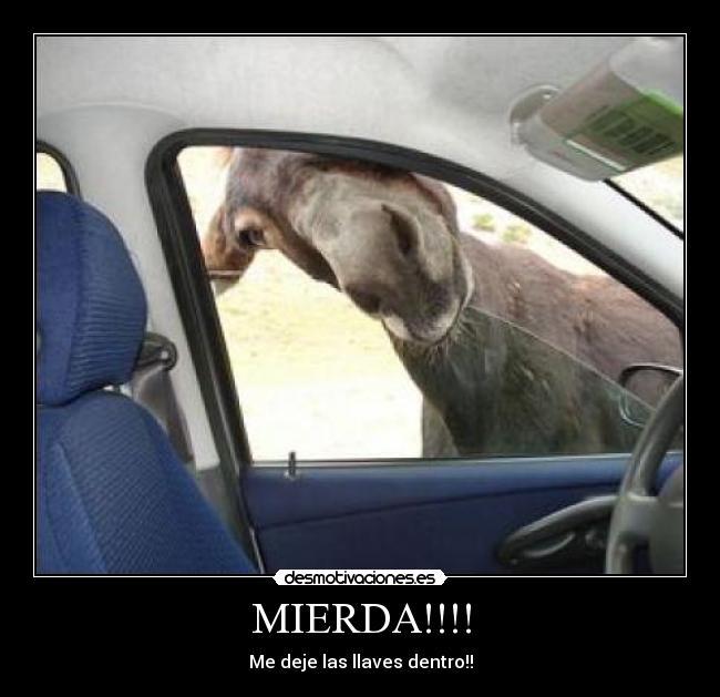 MIERDA!!!! -