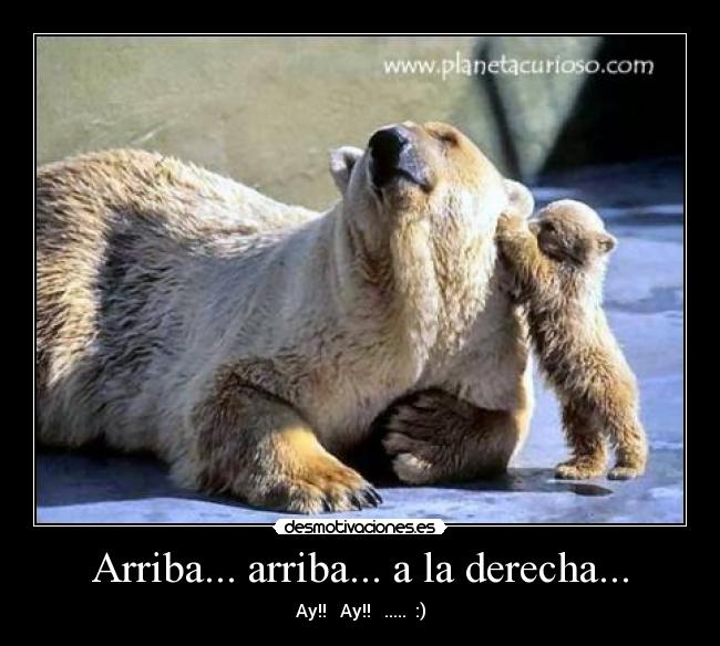 Arriba... arriba... a la derecha... - Ay!!   Ay!!   .....  :)