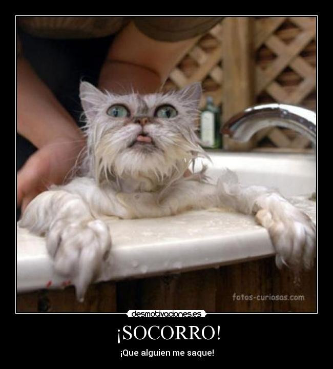 ¡SOCORRO! -