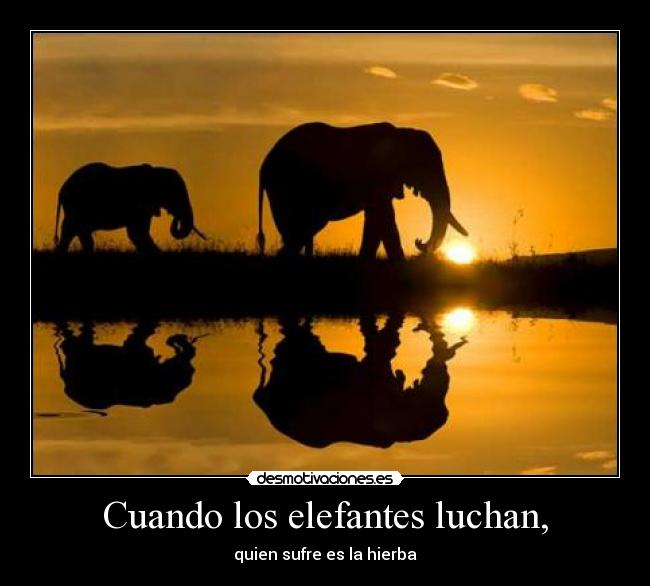 Cuando los elefantes luchan, - 