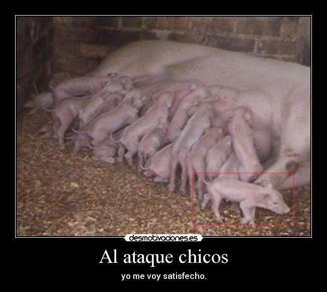 Al ataque chicos - yo me voy satisfecho.