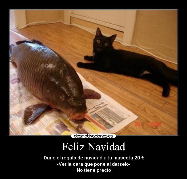 Feliz Navidad - -Darle el regalo de navidad a tu mascota 20 €-
-Ver la cara que pone al darselo-
No tiene precio