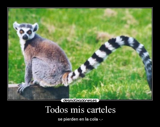 Todos mis carteles - se pierden en la cola -.-