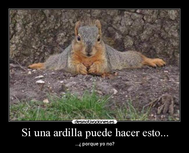 carteles fati desmotivaciones