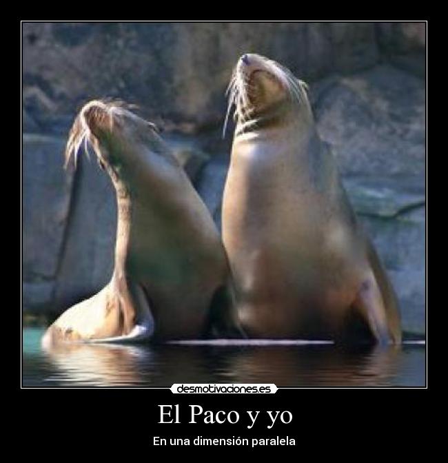 El Paco y yo - En una dimensión paralela