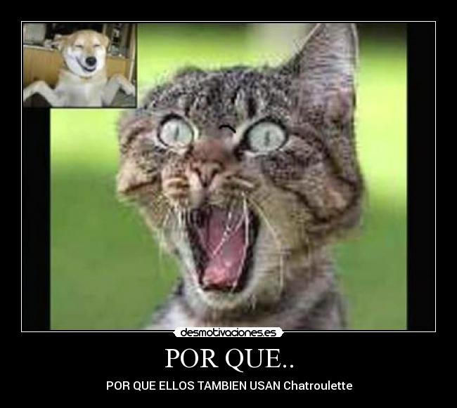 POR QUE.. - 