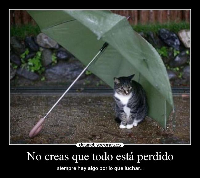 No creas que todo está perdido - siempre hay algo por lo que luchar...