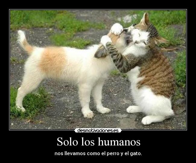 Solo los humanos - 