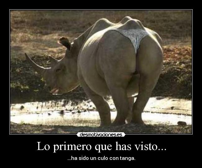 Lo primero que has visto... - ...ha sido un culo con tanga.