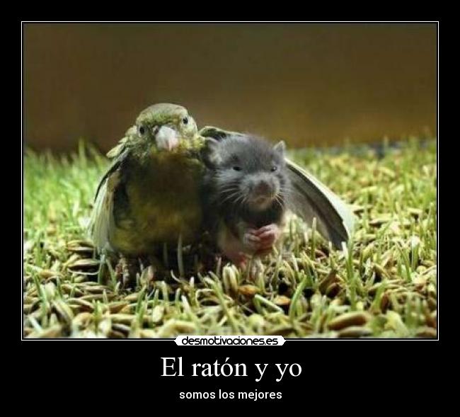 El ratón y yo -