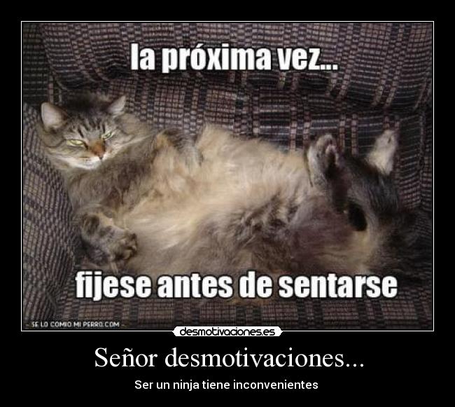 Señor desmotivaciones... - Ser un ninja tiene inconvenientes