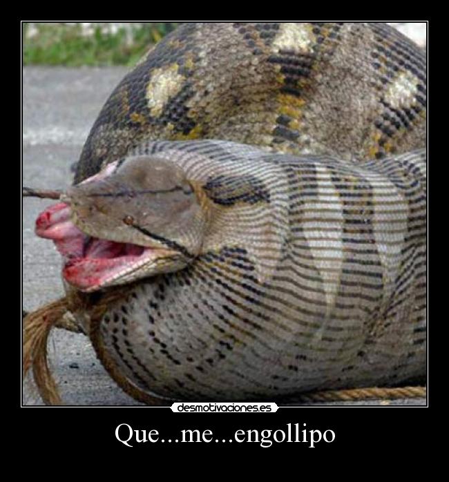 Que...me...engollipo - 