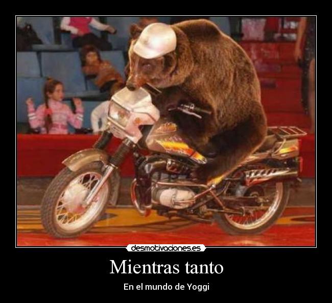 Mientras tanto - En el mundo de Yoggi