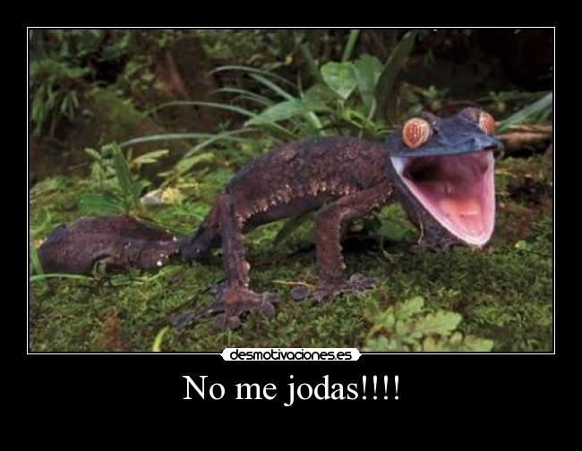 No me jodas!!!! -