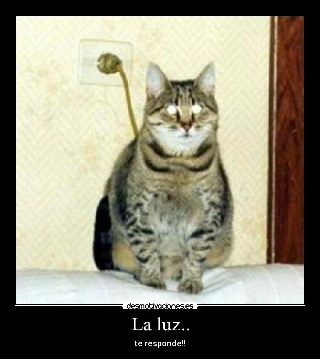 La luz.. - te responde!!