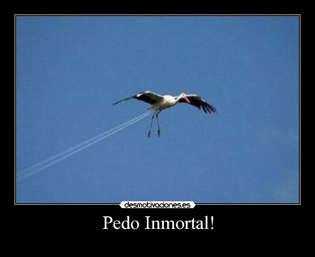 Pedo Inmortal! -