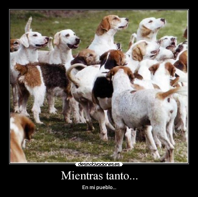 Mientras tanto... - En mi pueblo...