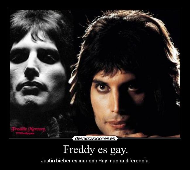 Freddy es gay. - Justin bieber es maricón.Hay mucha diferencia.