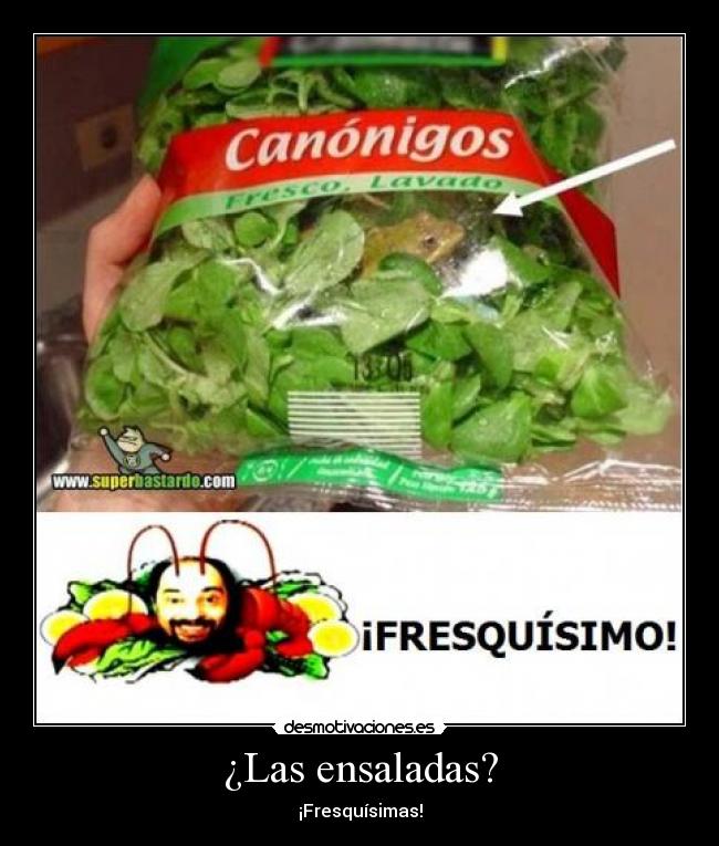 ¿Las ensaladas? - ¡Fresquísimas!