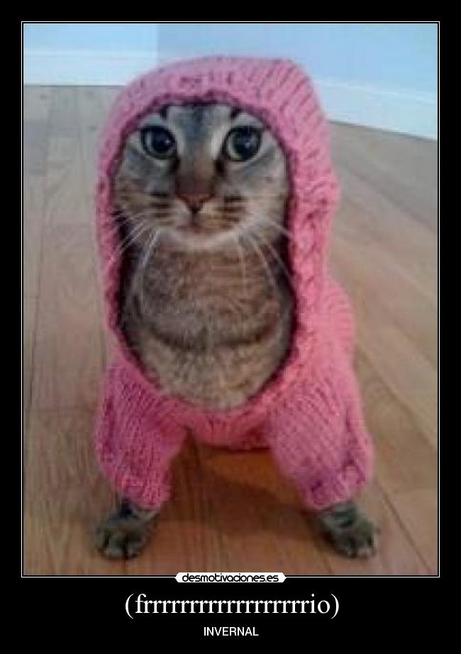 carteles frrrrrrrrrrrrio desmotivaciones