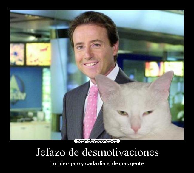 Jefazo de desmotivaciones - Tu lider-gato y cada dia el de mas gente