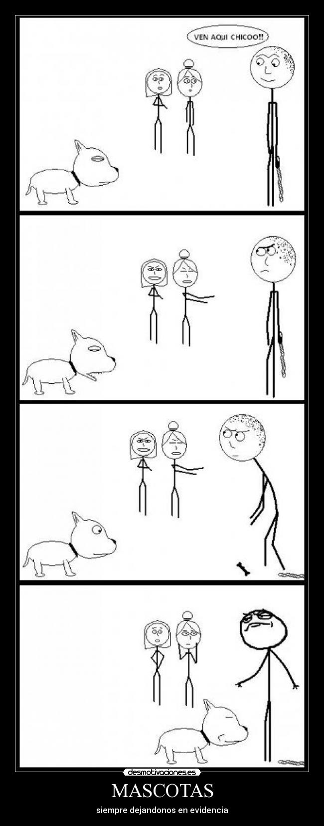 MASCOTAS - siempre dejandonos en evidencia