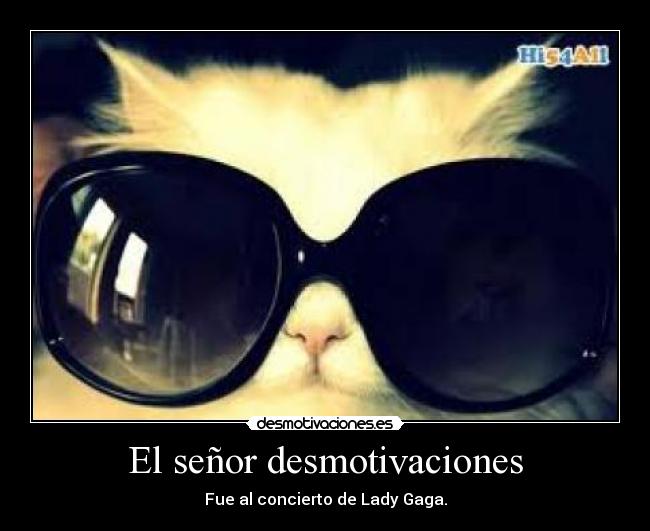 El señor desmotivaciones - Fue al concierto de Lady Gaga.